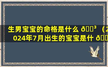 生男宝宝的命格是什么 🌳 （2024年7月出生的宝宝是什 🍀 么命格）